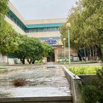 دانشکده زبانهای خارجی