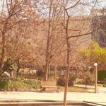 سالن فردوسی
