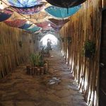 مجموعه باغ رستوران پونه