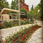 دکتر افروز افشاری