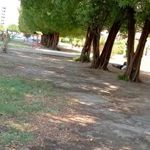 بوستان رشد