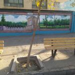 ایستگاه اتوبوس استاد یوسفی 25