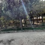 پارک بانوان