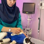 کلینیک دامپزشکی مرکزی(دکتر مریم حیدرلو)