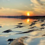 کبابی ساحلی جمال