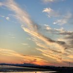 کبابی ساحلی جمال