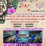 قالیشویی پروانه