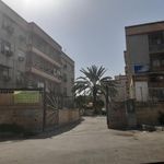 مجتمع اطلس