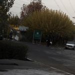 پارک جنگلی کلبه صحرا