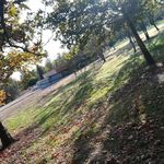 سرویس بهداشتی