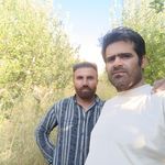 میوه ۱۱۰یاسوج