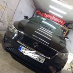 خدمات تخصصی دیتیلینگ شاهی