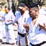 باشگاه رزمی کیوکوشین شیهان دولتی