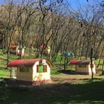 پارک جنگلی جوارم