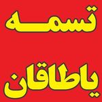 بلبرینگ حمید