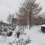 بوستان مهر