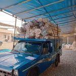 قالیشویی توحید