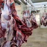 شرکت سالم پروتئین آریا