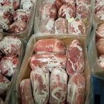 شرکت سالم پروتئین آریا