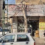 ایران ژانومه
