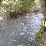 رستوران البرز