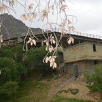 اقامتگاه بومگردی عشایری پاپیلا