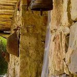 اقامتگاه بومگردی عشایری پاپیلا