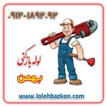لوله بازکنی جمالزاده _بهمن