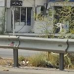 وال مارکت