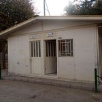 سرویس بهداشتی