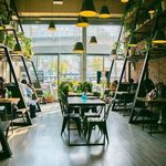 کافه آمبیانس