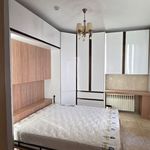 ام . دی .اف فرجی