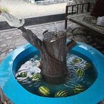 کافه رستوران سنتی بام پردیس