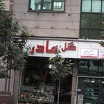 گل مادر