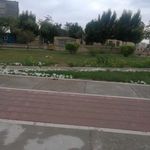 بوستان کاکتوس