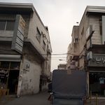 دکتر زیبا ستاری