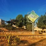 بوستان کاکتوس