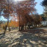 بهشت زینب چناران