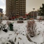 بوستان بنفشه