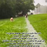 دکتر روانشناس فیروزه نجاری(زوج درمانگر)