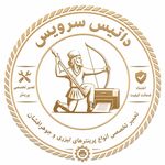 داتیس سرویس