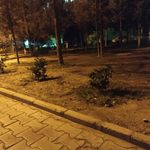 بوستان گلزار