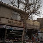 گل سرای شیدا