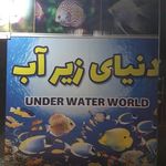 فروشگاه آکواریوم دنیای زیر آب