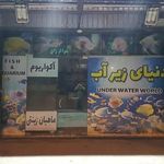 فروشگاه آکواریوم دنیای زیر آب