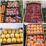 میوه فروشی کندو