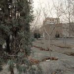 فضای سبز