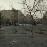 فضای سبز