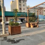بازار میوه تره بار شکوفه