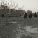فضای سبز